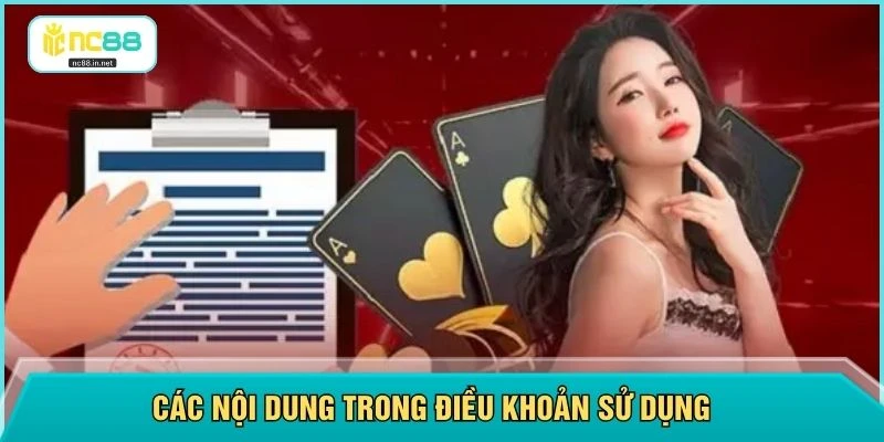 Điều Khoản Sử Dụng NC88 - Cập Nhật Mới Nhất Năm 2026 