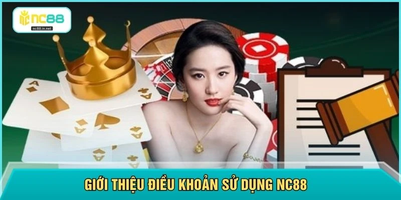 Điều Khoản Sử Dụng NC88 - Cập Nhật Mới Nhất Năm 2026 